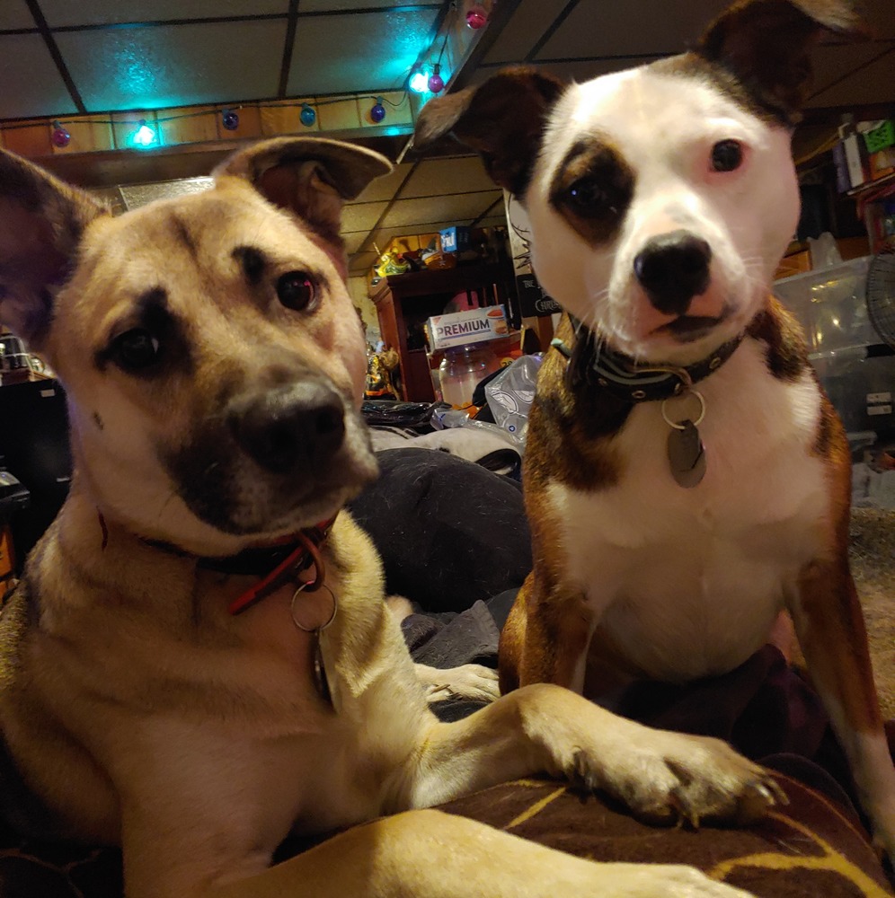 Meet your Posher, Beth